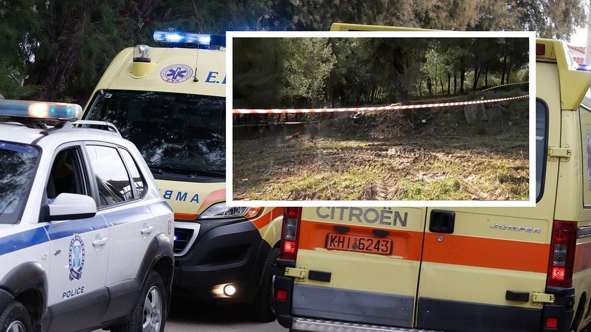 Χαλκιδική: Δεν μπορεί να βρεθεί ούτε το φύλο, ούτε η ηλικία του νεκρού στη σακούλα – Τα ευρήματα της ιατροδικαστικής και το χρονοδιάγραμμα του θανάτου