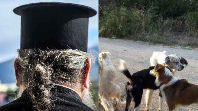 Παρολίγο τραγωδία στο Αγρίνιο: Αδέσποτοι σκύλοι επιτέθηκαν σε ιερέα – Μεταφέρθηκε στο νοσοκομείο