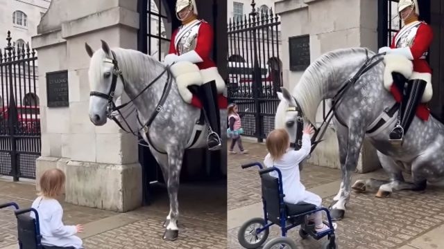Το βίντεο στην Αγγλία που έγινε viral με το άλογο και το κοριτσάκι στο αμαξίδιο – Ό,τι πιο γλυκό έχετε δει…