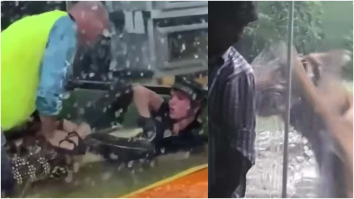 Τα πιο σοκαριστικά ατυχήματα σε ζωολογικούς κήπους όλων των εποχών