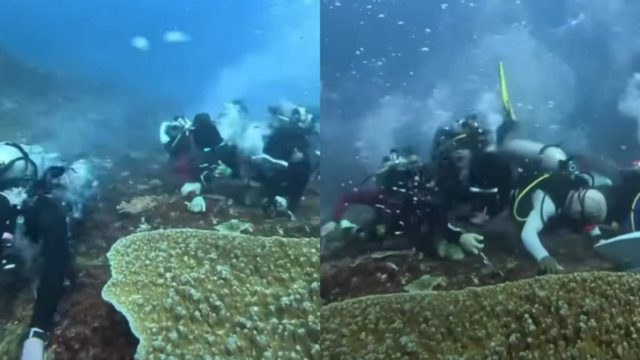 Μυστηριώδες ρεύμα παρασύρει δύτες στο νησί Κομόντο