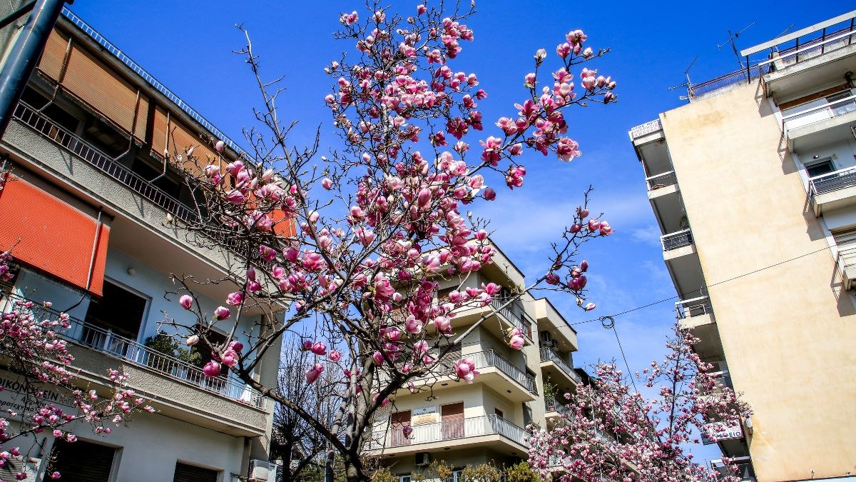 Τι καιρό θα έχει σήμερα