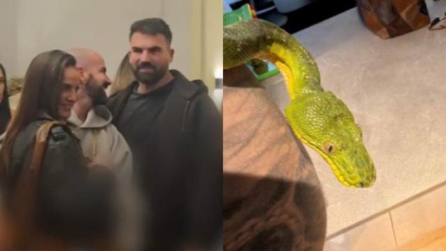 Δημήτρης Αλεξάνδρου: Βάφτισε το νέο του φίδι «Ρία» – Πώς αντέδρασε η Ελληνίδου