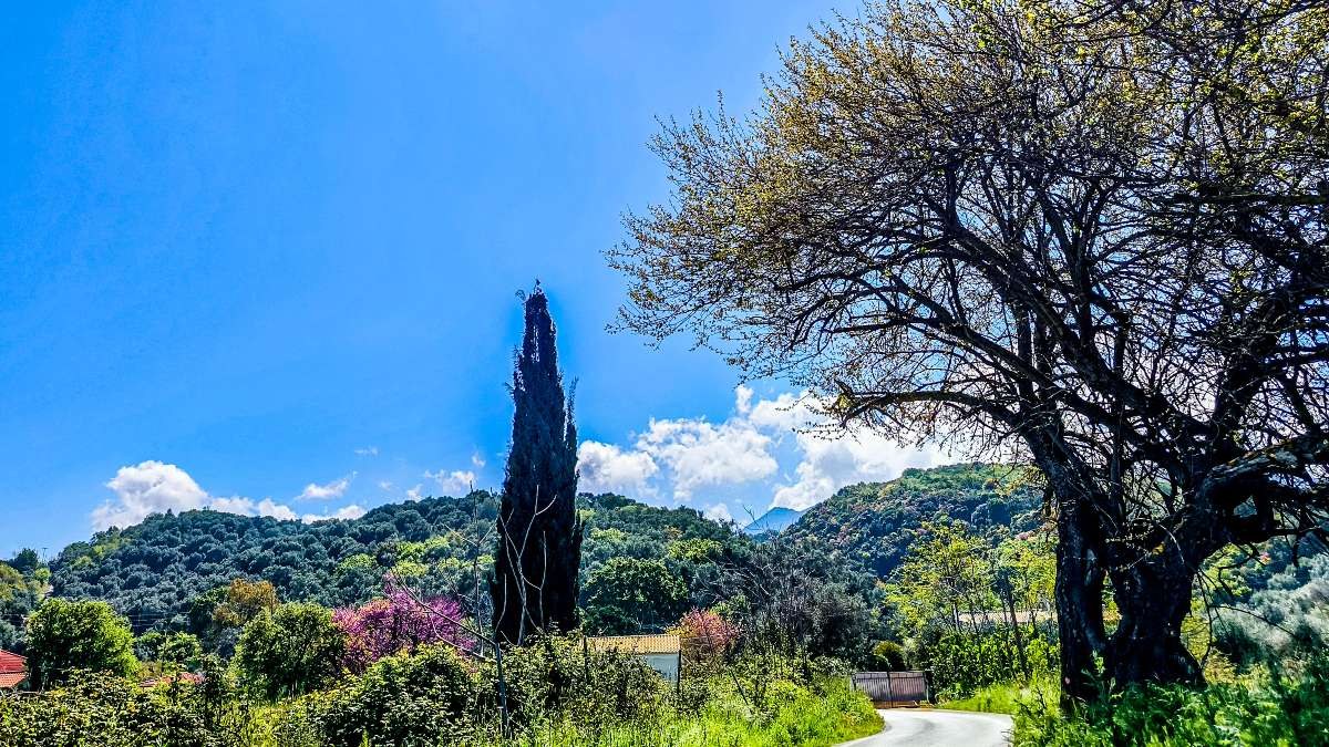 Καιρός σήμερα 20/4: Ανοιξιάτικο σκηνικό με εναλλαγές – Πώς θα κυμανθεί η θερμοκρασία σύμφωνα με Αρνιακό και Παπαβγούλη