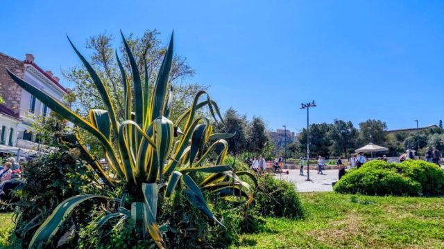 Καιρός σήμερα 19/4: Αίθριος με υψηλές θερμοκρασίες – Οι προγνώσεις Αρνιακού και Τσατραφύλλια