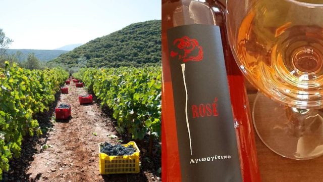 Οινικό οδοιπορικό στην Ελλάδα: 3 προορισμοί που κάθε λάτρης του κρασιού πρέπει να επισκεφθεί