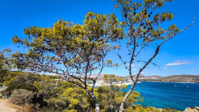 Καιρός σήμερα 29/6: Άνοδος της θερμοκρασίας έως τους 37°C – Η πρόγνωση Αρνιακού και Ζιακοπούλου