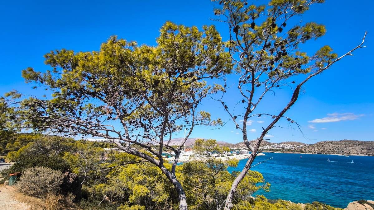 Τι καιρό θα έχει σήμερα;