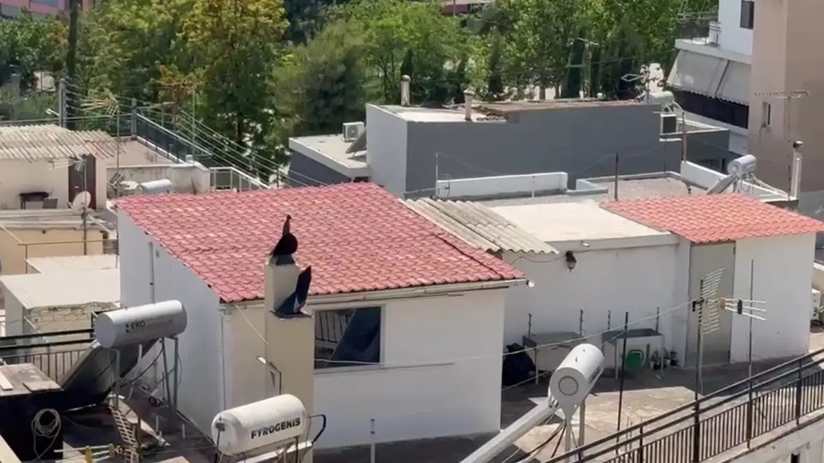 Φρίκη στο Περιστέρι: Ζούσαν 8 άτομα σε 27 τ.μ. μέσα σε ακαθαρσίες – Το «κοινό μυστικό» πίσω από τις μαύρες σακούλες στα παράθυρα!