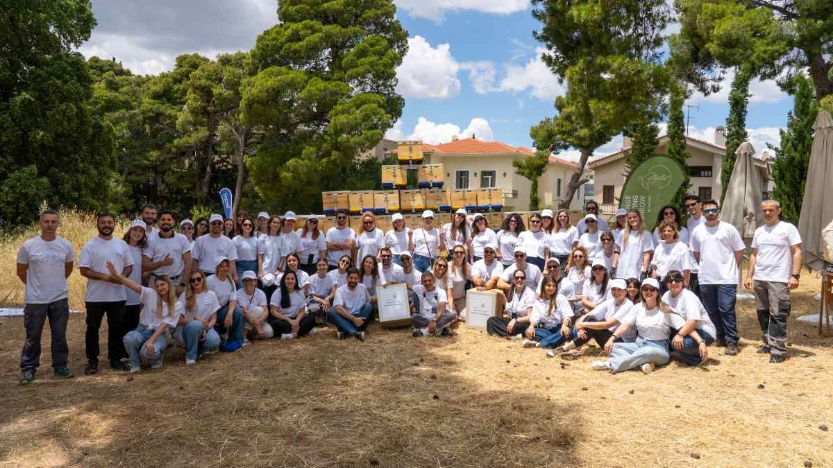 «Bee the Change»: Η team AEGEAN γιόρτασε την Παγκόσμια Ημέρα Περιβάλλοντος, αναλαμβάνοντας δράση για την προστασία των μελισσών