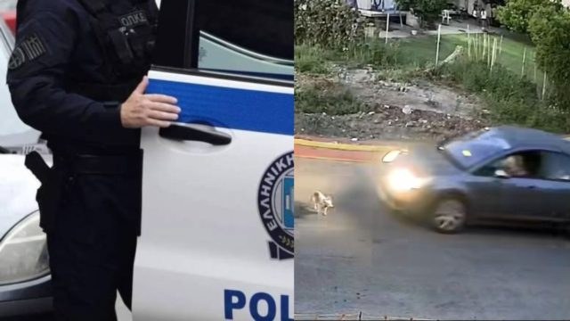 Έσπασε την σιωπή της η οδηγός στην Γαστούνη:«Φοβήθηκα και έφυγα» – Όσα δήλωσε στους αστυνομικούς η 60χρονη