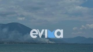 Φωτιά στη Χαλκίδα: Μεγάλη κινητοποίηση στον Άγιο Μηνά – Επίγειες και εναέριες δυνάμεις στη μάχη με τις φλόγες – Ήχησε το 112