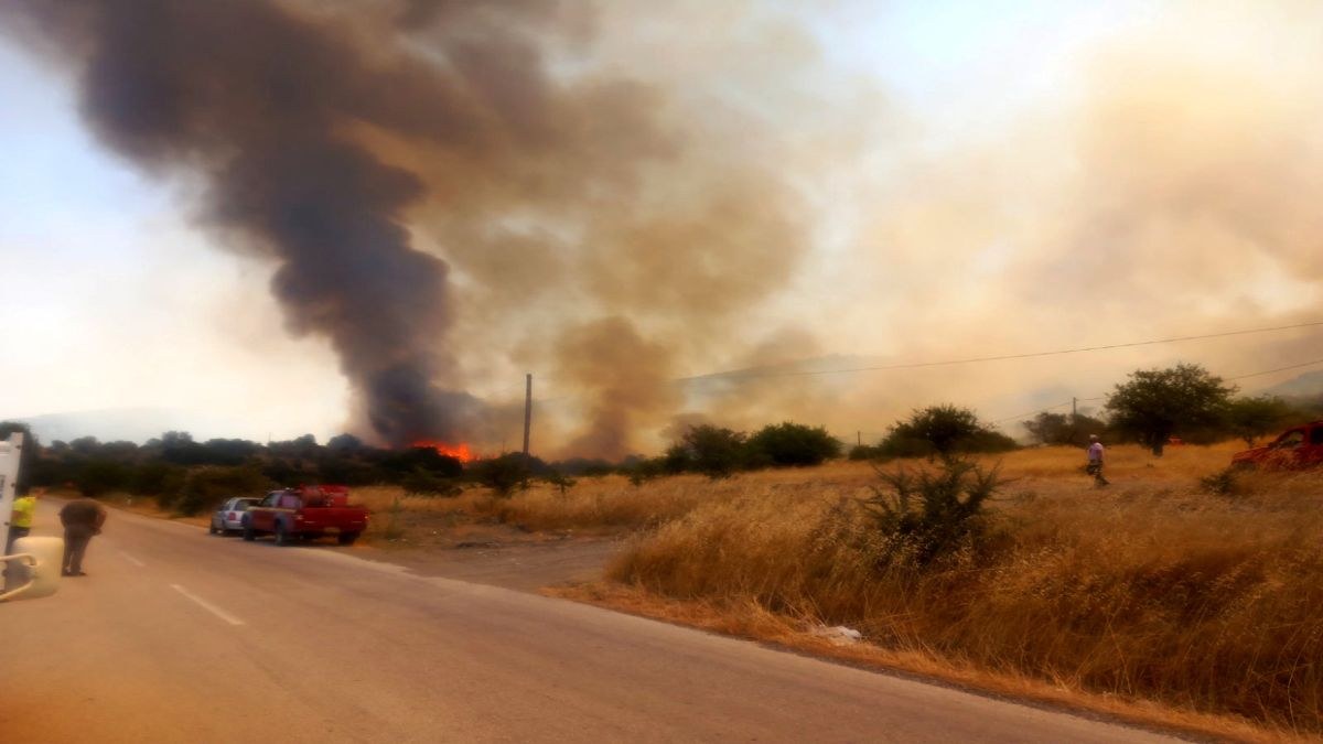 Καίει αγροτοδασική έκταση στην Επίδαυρο – Ισχυρή επιχείρηση της Πυροσβεστικής