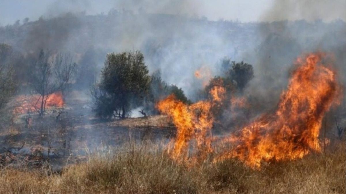 Φωτιά στο Πλωμάρι Λέσβου: Ενισχύθηκαν οι δυνάμεις – Επιχειρούν έξι εναέρια μέσα