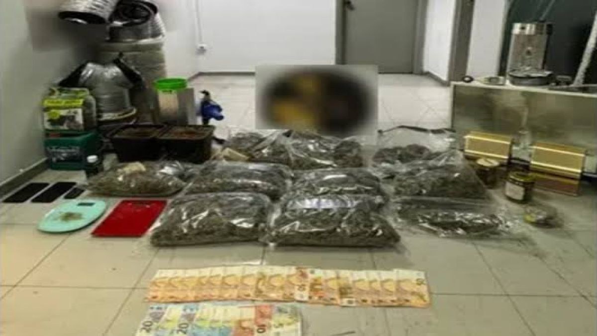 Δύο συλλήψεις για ναρκωτικά: Αποκαλύφθηκε «καβάτζα» με εργαστήριο κάνναβης
