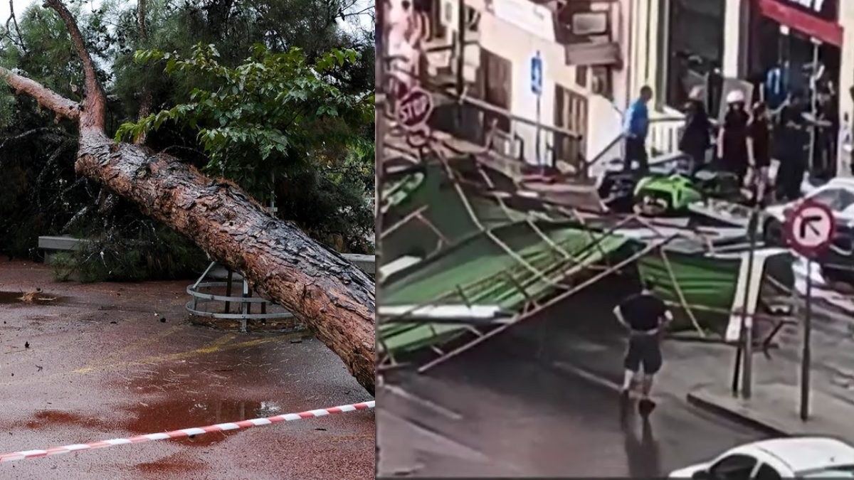 Κακοκαιρία στην Αττική: Έπεσε δέντρο στο Ίλιον πάνω σε ταξί  – Πτώση σκαλωσιάς στον Πειραιά [βίντεο]