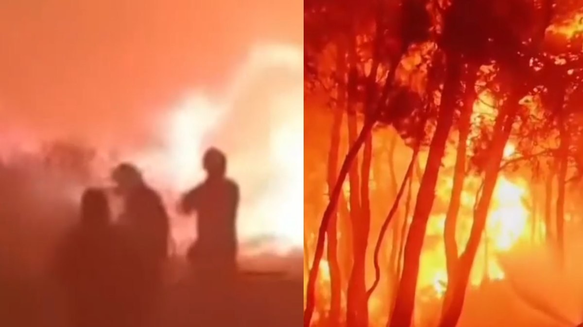 Εφιαλτική νύχτα σε Ρέθυμνο και Σητεία: Ώρες αγωνίας στην Αγία Γαλήνη, δίνουν μάχη οι δασοκομάντος – Φωτογραφίες από την μεγάλη εκκένωση