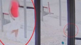 Βριλήσσια: Βίντεο από την στιγμή που ο σκύλος επιτέθηκε σε 66χρονο και στο κατοικίδιό του – «Είδαμε έναν κύριο πεσμένο…»