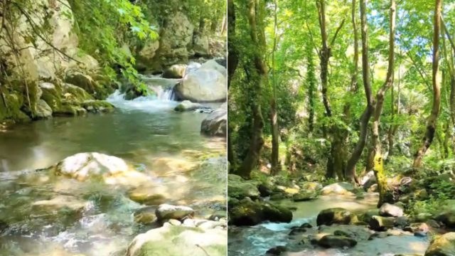 Θέλεις την απόλυτη δροσιά; Το φαράγγι των Στροπώνων είναι ο παράδεισος που ψάχνεις!