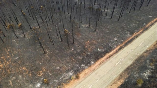 Έως και 39% περισσότερες καμένες εκτάσεις στην Ευρώπη μέχρι το τέλος του αιώνα – Πώς η άνοδος της θερμοκρασίας απειλεί τα δάση