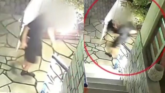 «Φέρε πίσω το μαγιό»: Μπήκε σε αυλή σπιτιού στην Χαλκιδική και το έκλεψε από την απλώστρα – Η γυναίκα ζητάει να το επιστρέψει [βίντεο]