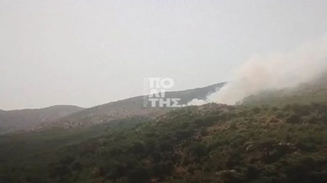 Φωτιά στη Χίο: Μεγάλη επιχείρηση στο Βίκι – Πέντε εναέρια μέσα στη μάχη με τις φλόγες