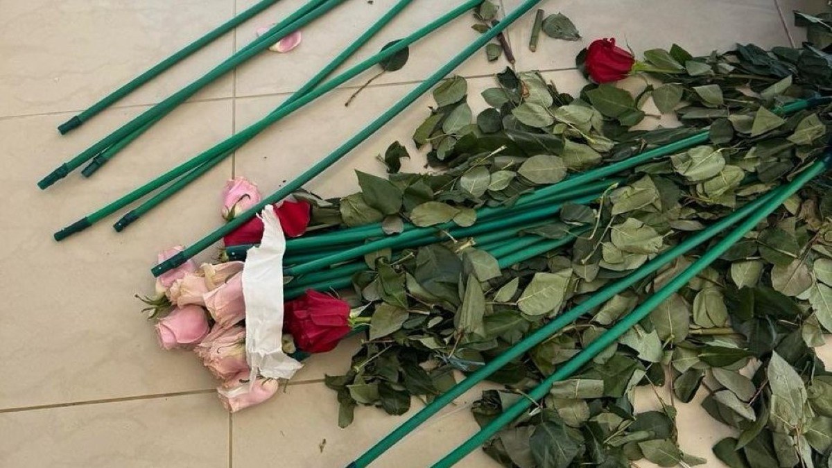 ΑΑΔΕ: 84 κιλά κοκαΐνης κρυμμένα σε τριαντάφυλλα – Οι συλλήψεις σε Αρτέμιδα και Μαραθώνα