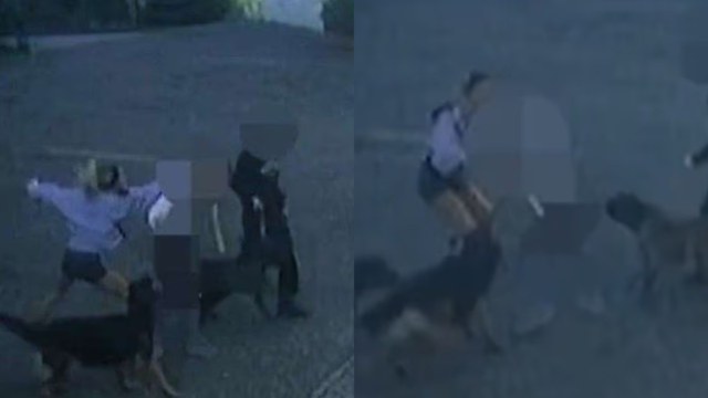 Άγρια επίθεση μεταξύ γυναικών για τα σκυλιά τους: Την άρπαξε από τα μαλλιά, τη γρονθοκόπησε και την έφτυσε (Video)