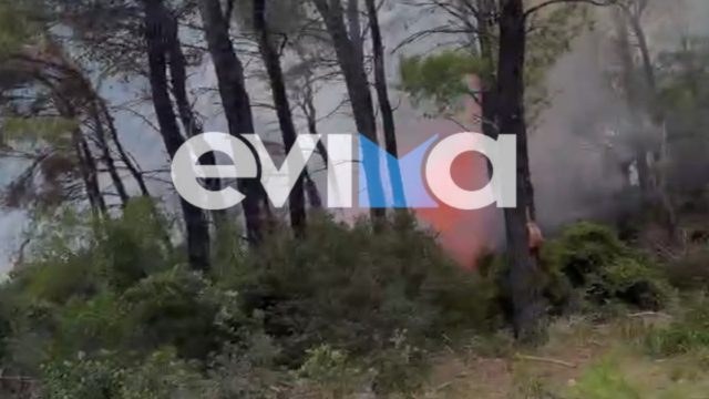 Φωτιά τώρα στην Εύβοια: Πυρκαγιά σε χαμηλή βλάστηση στον Άγιο Αθανάσιο