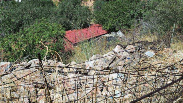 Σοκ στην Κυψέλη: Κάποιος «φύτεψε» εκεί τα οστά – Γιατί δεν θα πάει ιατροδικαστής στο σημείο