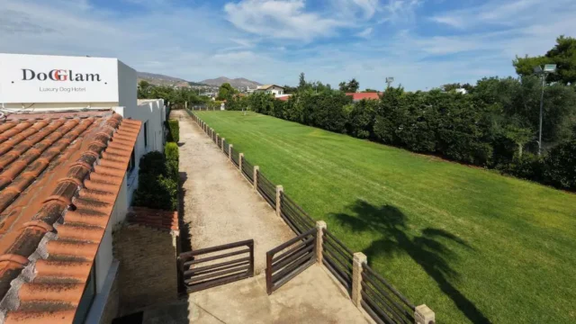 DogGlam Luxury Dog Hotel: Το luxury ξενοδοχείο που αλλάζει όσα γνώριζες για τη φιλοξενία σκύλων
