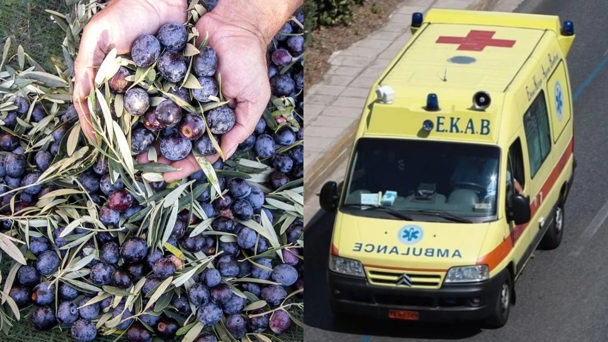 Τραγωδία: Πήγε από την Αθήνα να μαζέψει τις ελιές του και βρέθηκε νεκρός