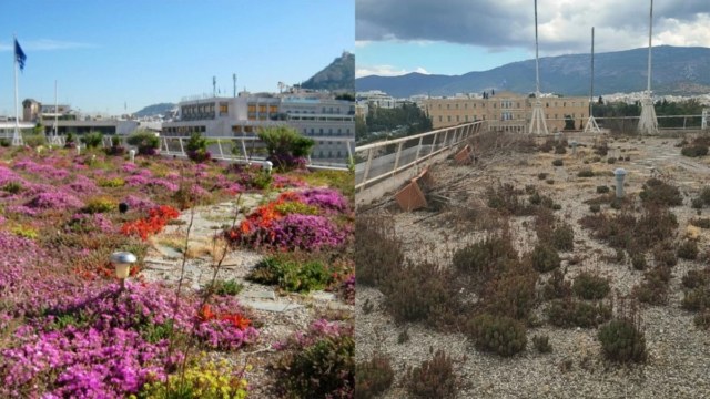 Υπουργείο Οικονομικών: Η ταράτσα που κάποτε ήταν παράδεισος πρασίνου, σήμερα ρημάζει – 70.000 ευρώ για να ξαναζωντανέψει