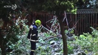 Συναγερμός κοντά στο Μέγαρο Μαξίμου: Κατέρρευσε δέντρο στην Ηρώδου Αττικού (Video)