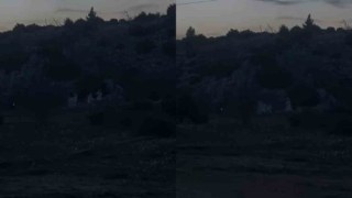 Το βίντεο από την Πάρνηθα που διχάζει το TikTok: Τελετή ή καλοστημένο σκηνικό;