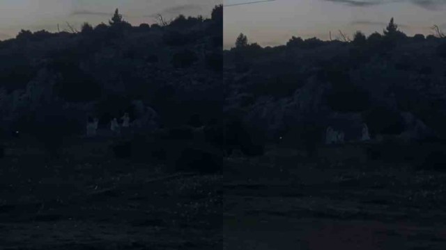 Το βίντεο από την Πάρνηθα που διχάζει το TikTok: Τελετή ή καλοστημένο σκηνικό;