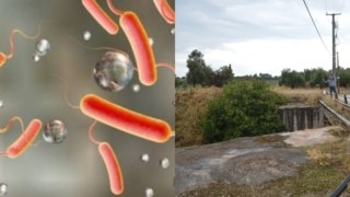 Συναγερμός στον Ασωπό: Βακτήρια που συνδέονται με τη χολέρα σε 5 σημεία – Ποιες περιοχές αφορά