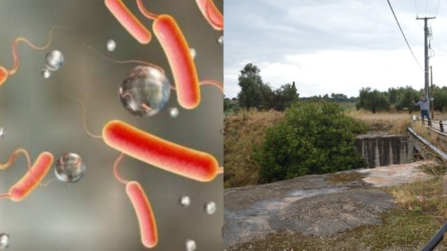 Συναγερμός στον Ασωπό: Βακτήρια που συνδέονται με τη χολέρα σε 5 σημεία – Ποιες περιοχές αφορά